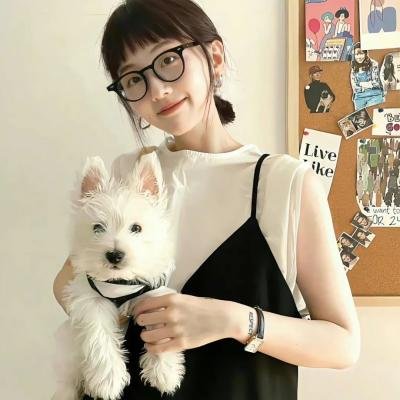 罪案终结第二季